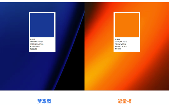 BOdog官网微品牌视觉焕新升级